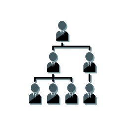 Organization Organization